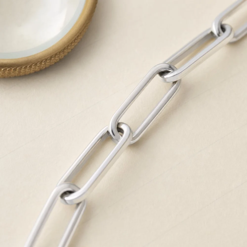 Paperclip Chain, view 2